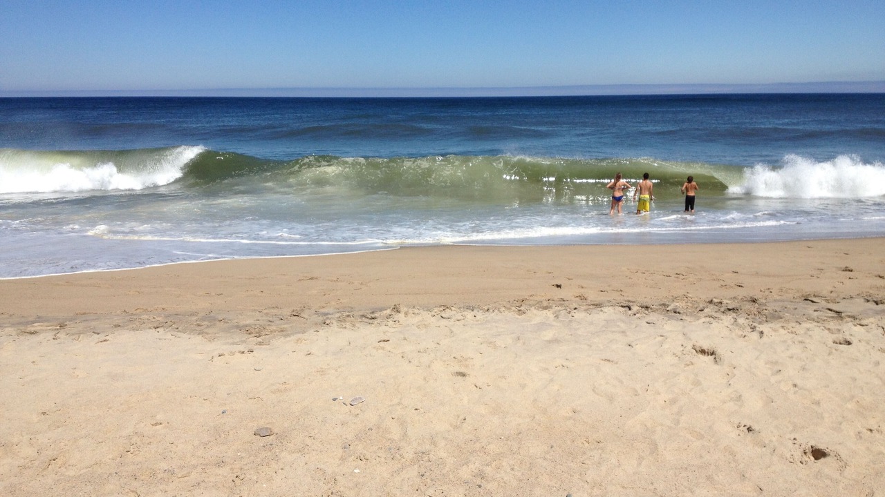 Photo of Others in Eastham