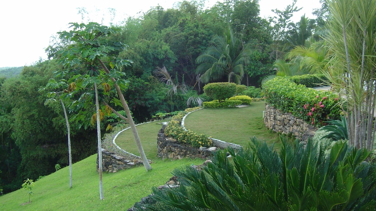 Photo of Others in Loay