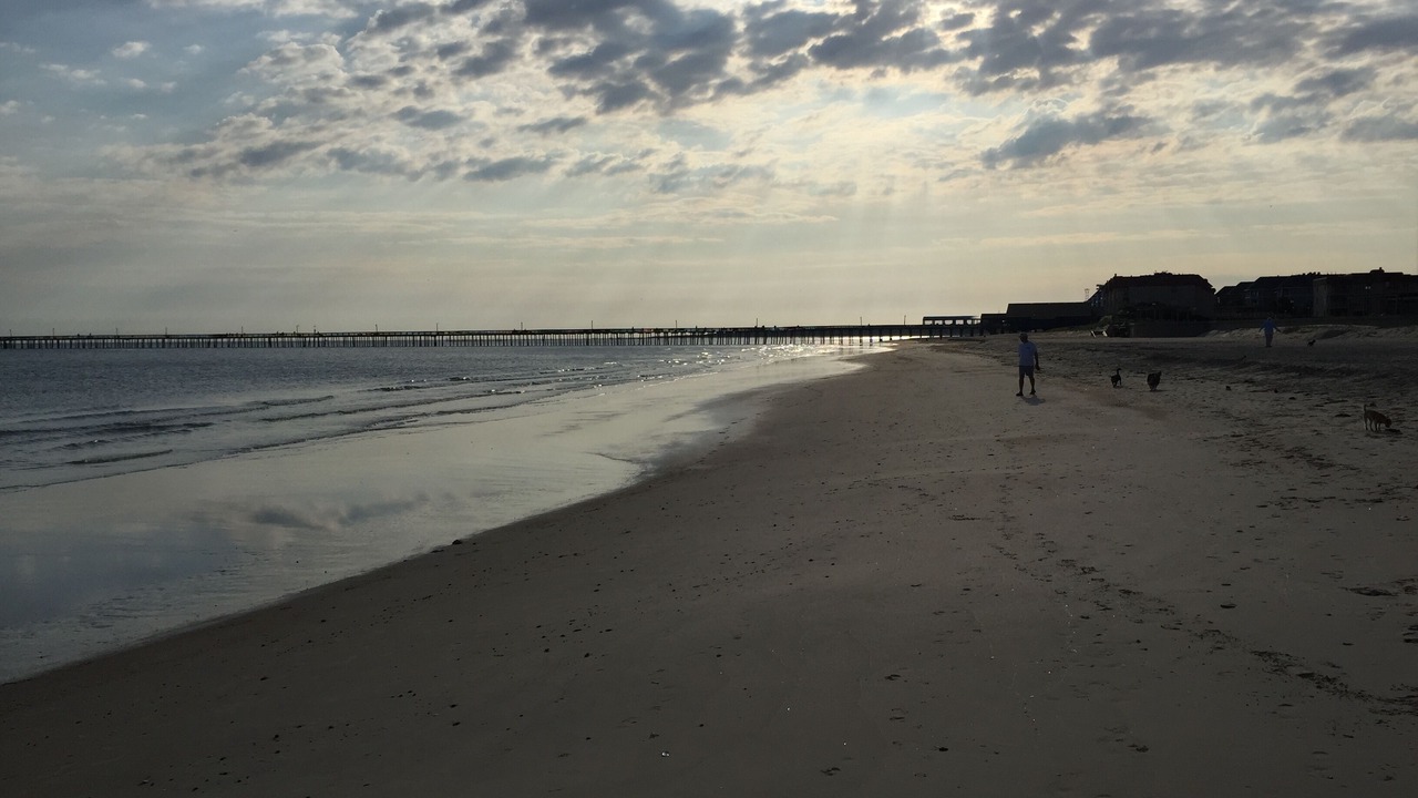 Photo of Others in Northeast Virginia Beach