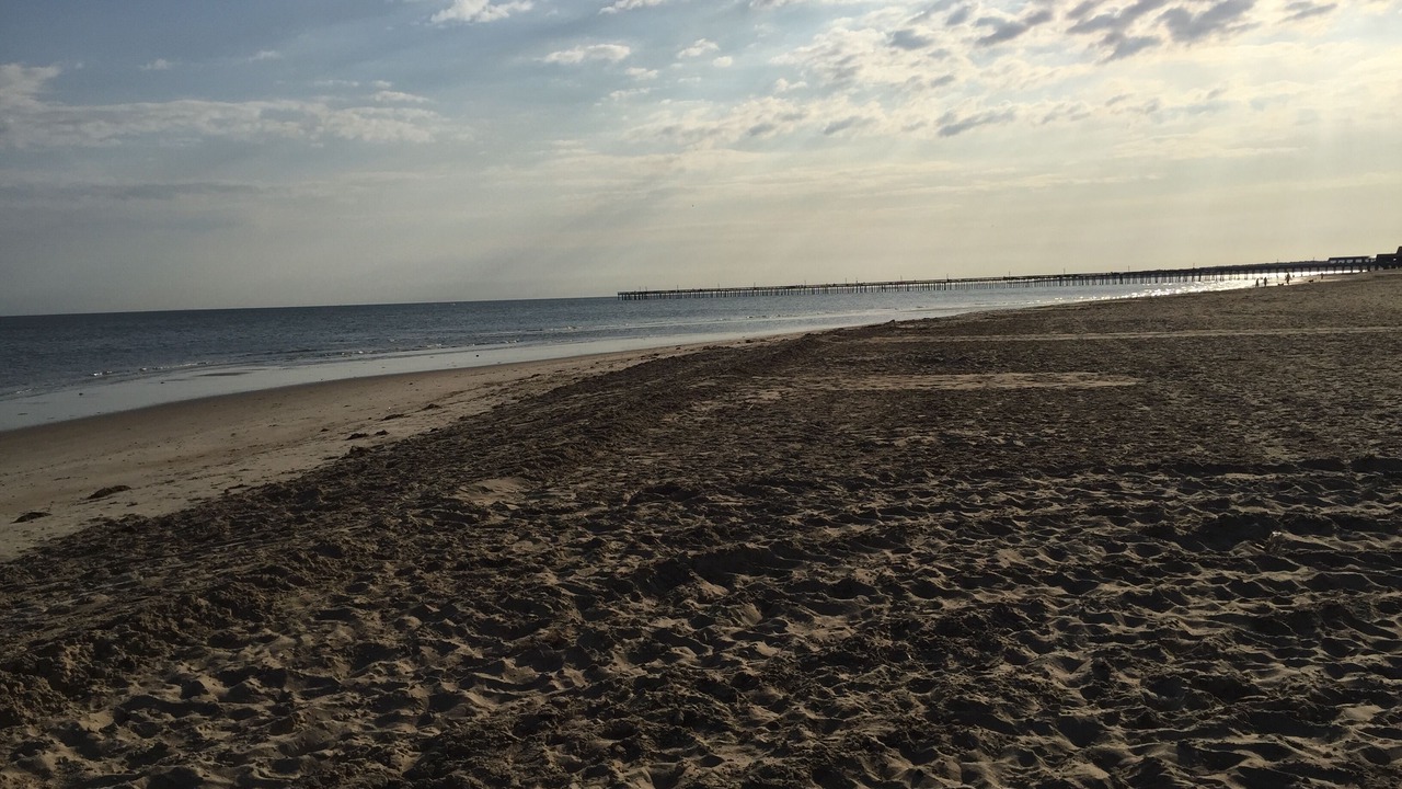 Photo of Others in Northeast Virginia Beach