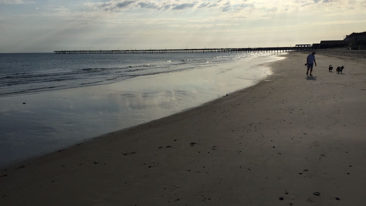 Photo of Others in Northeast Virginia Beach