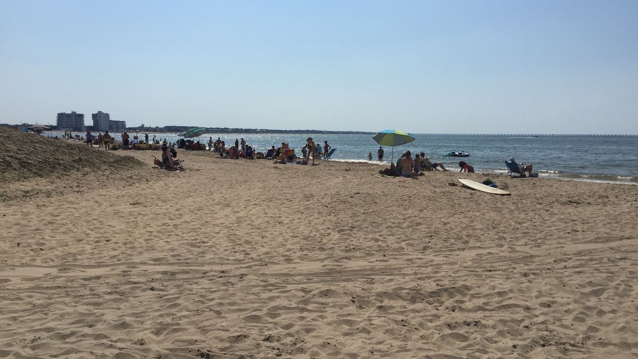 Photo of Others in Northeast Virginia Beach