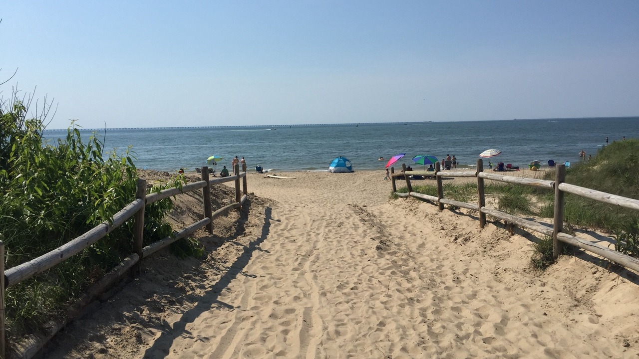 Photo of Others in Northeast Virginia Beach