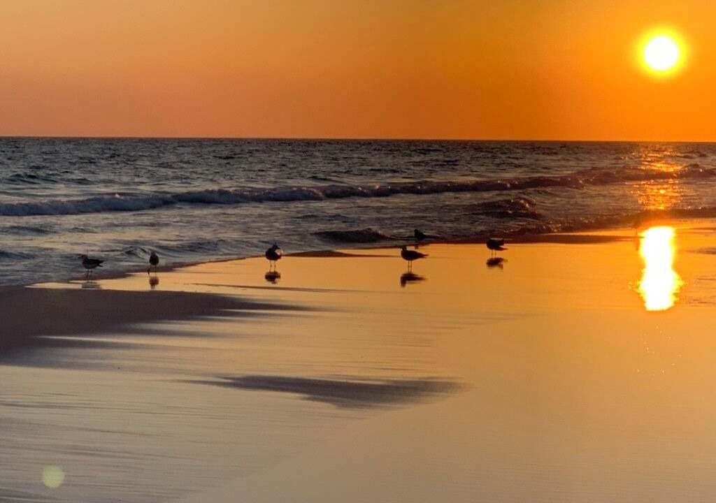 Photo of Others in Grayton Beach