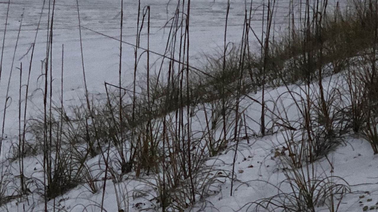 Photo of Others in Grayton Beach