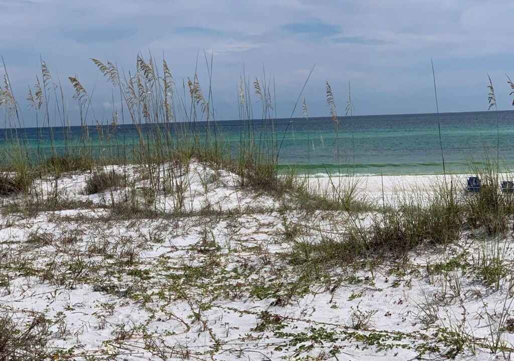 Photo of Others in Grayton Beach