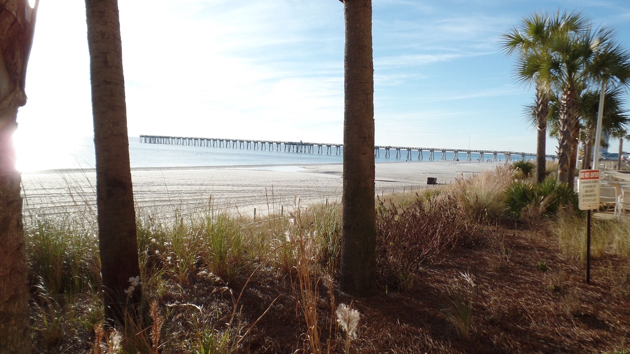Photo of Others in Panama City Beach