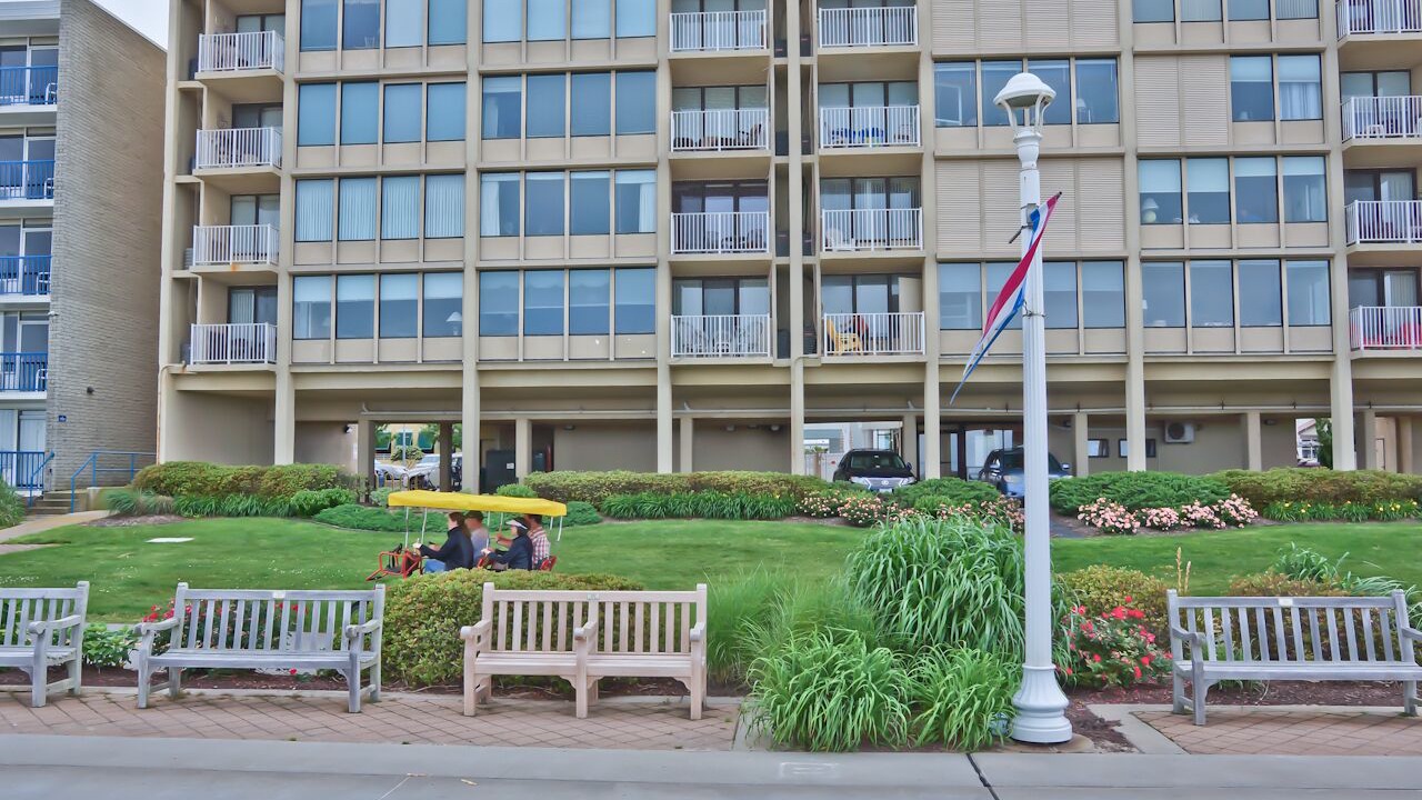 Photo of Others in Northeast Virginia Beach