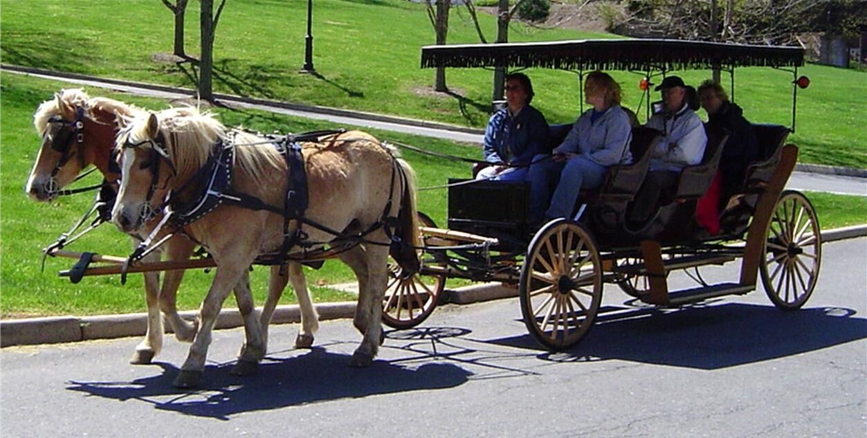 Photo of Others in Lexington