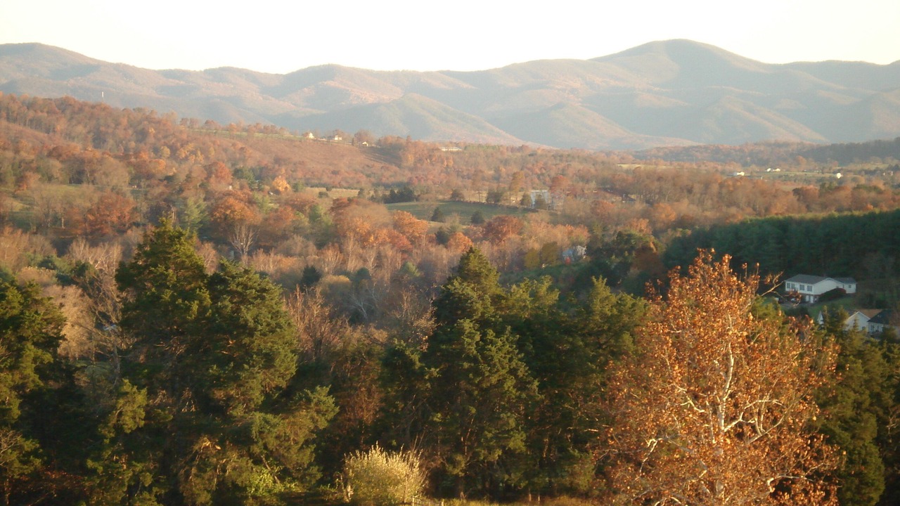 Photo of Others in Lexington