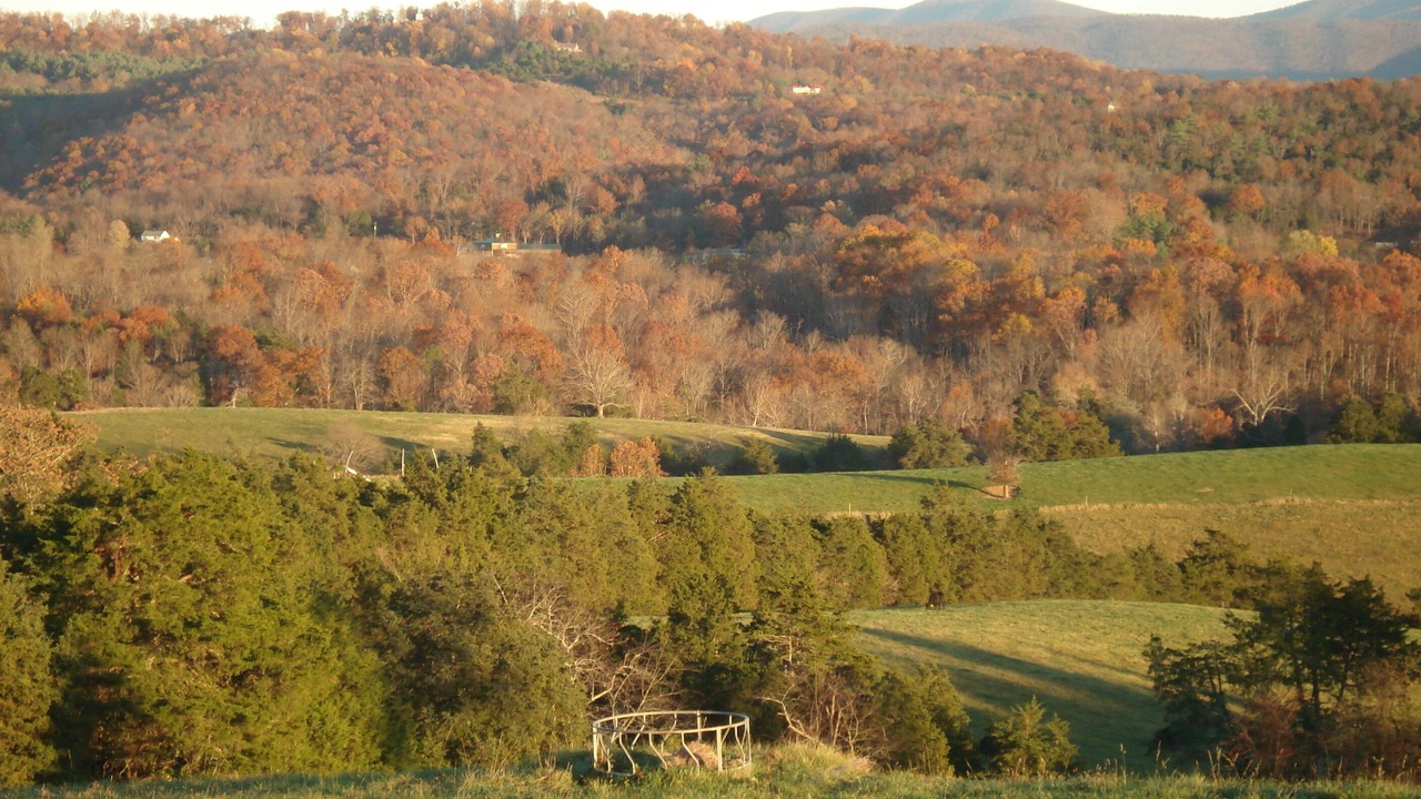 Photo of Others in Lexington