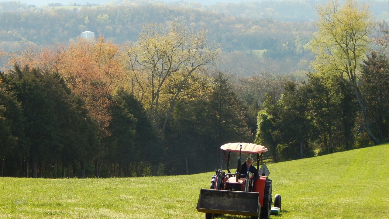 Photo of Others in Lexington