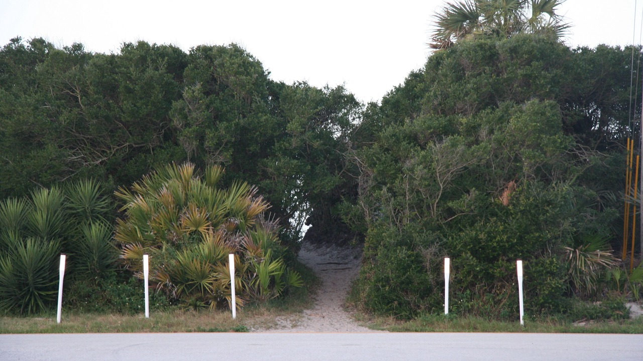 Photo of Others in Vilano Beach