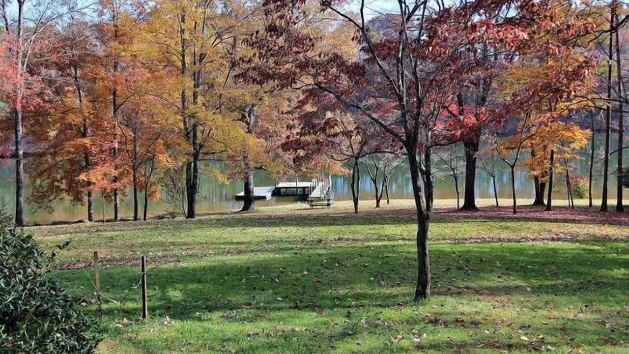 Photo of Outdoor in Moneta