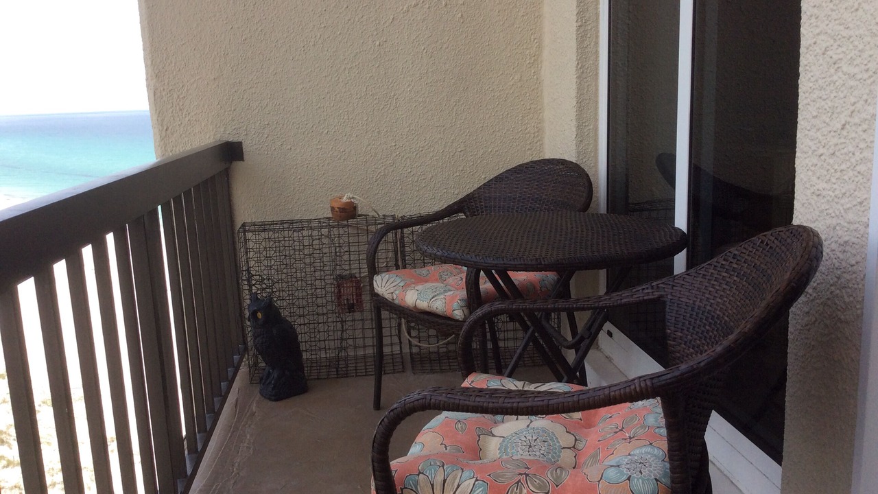 Photo of Patio Balcony in Sunnyside