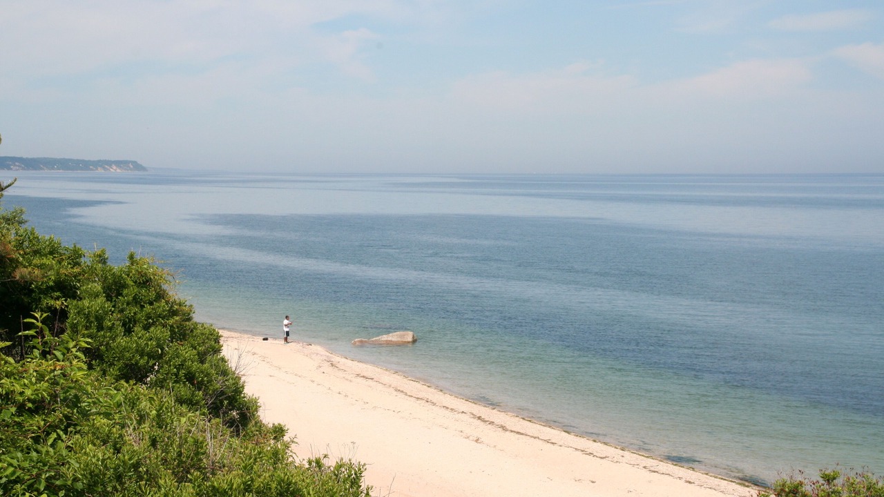 Photo of Others in Baiting Hollow