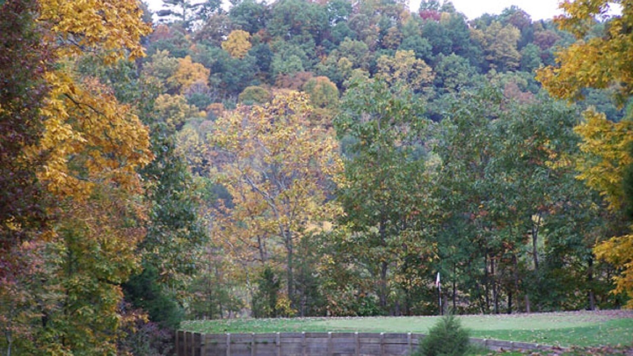 Photo of Others in Covington