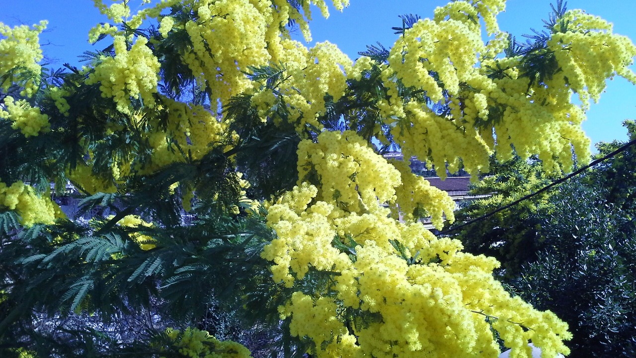 Photo of Outdoor in Menton