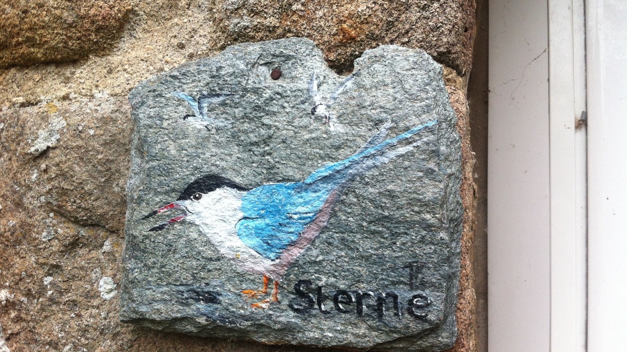 Photo of Others in Tregastel
