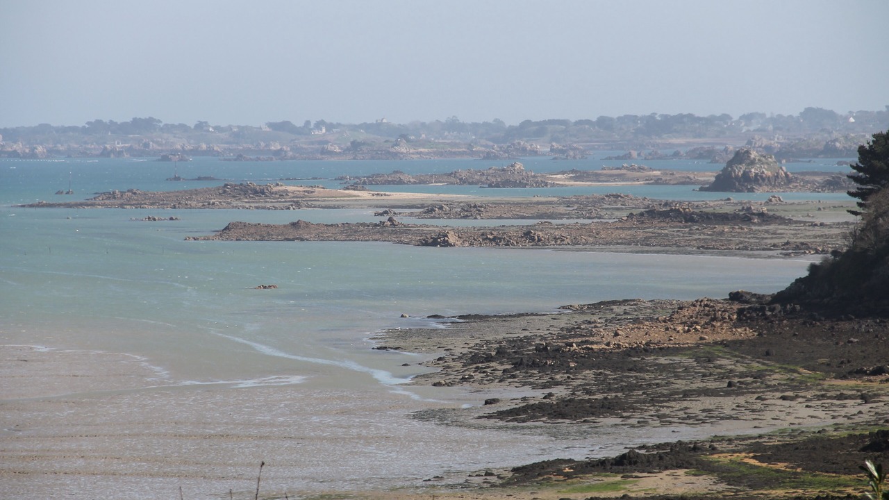 Photo of Others in Lanmodez