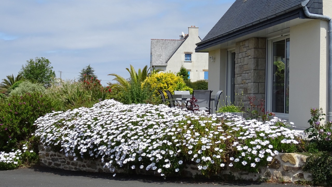 Photo of Outdoor in Trelevern