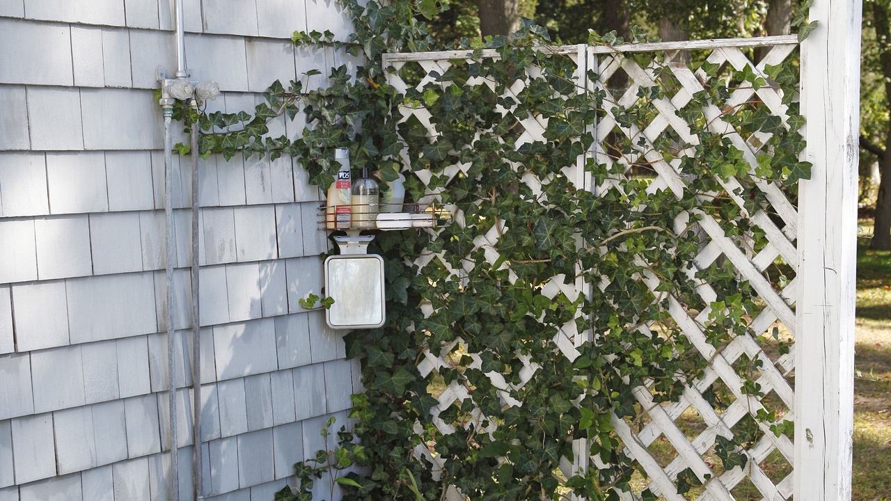 Photo of Outdoor in East Patchogue