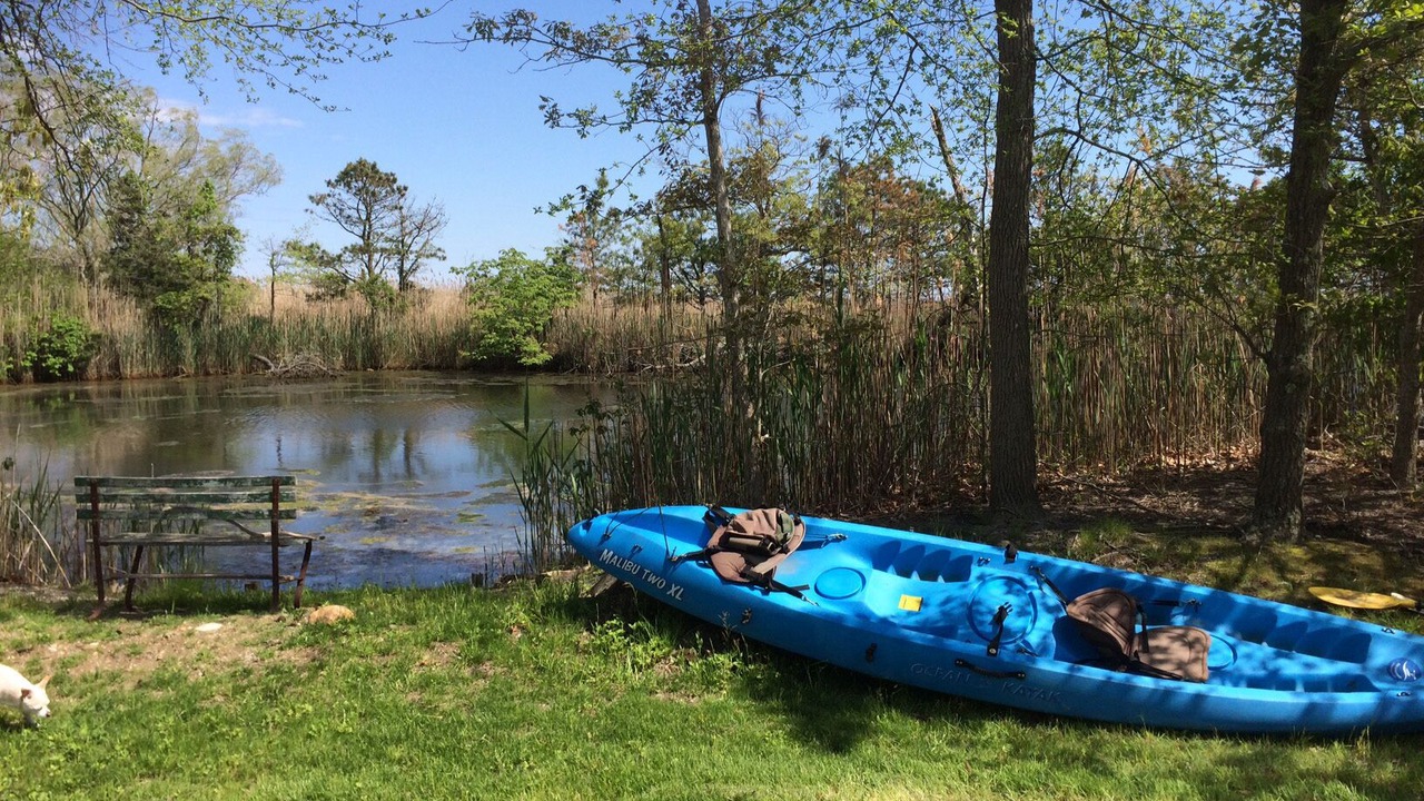 Photo of Others in East Patchogue