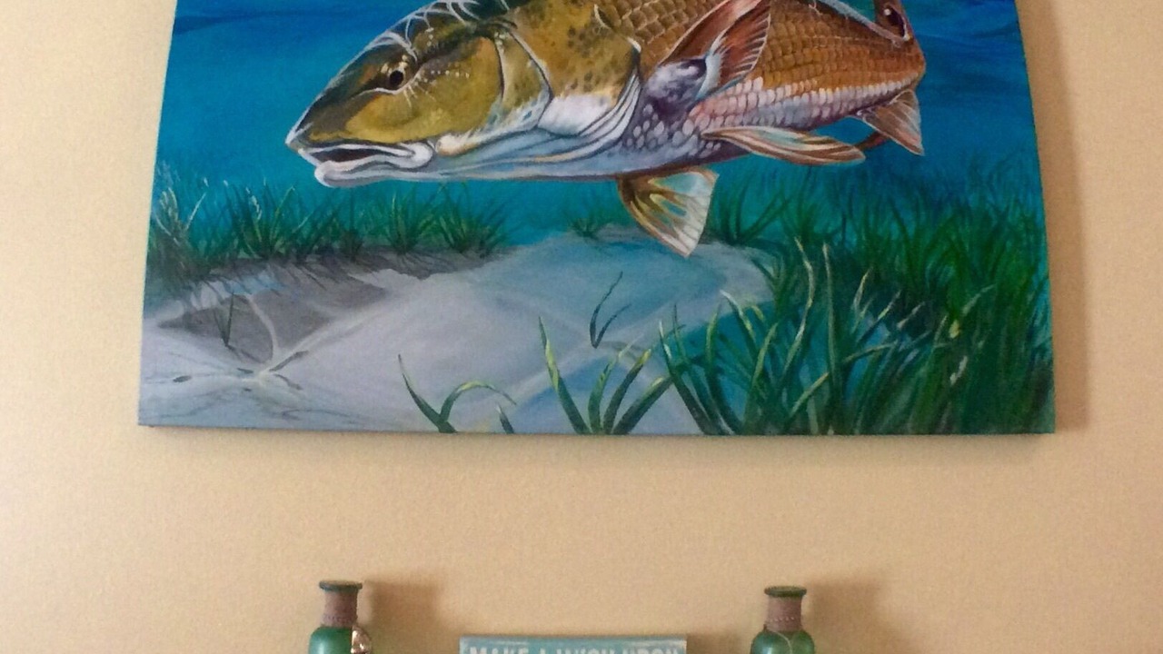 Photo of Others in Steinhatchee