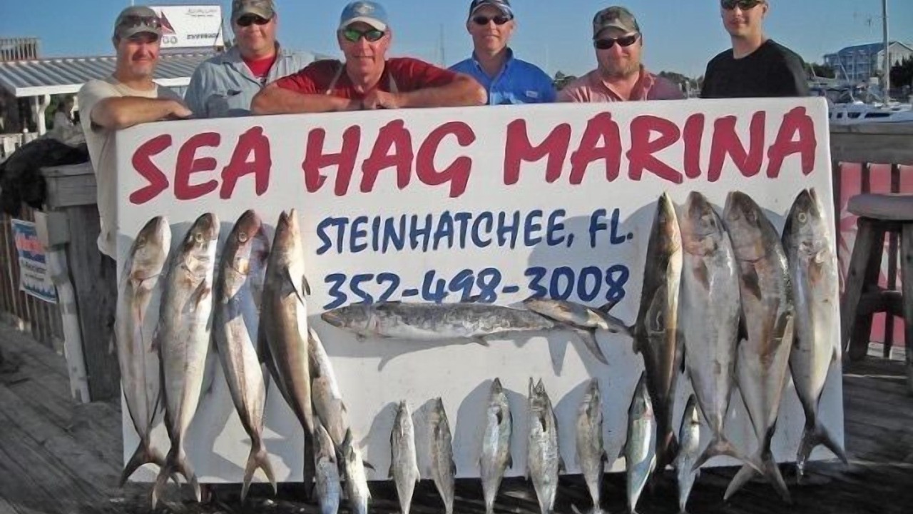 Photo of Others in Steinhatchee