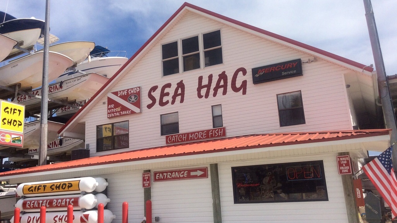 Photo of Others in Steinhatchee