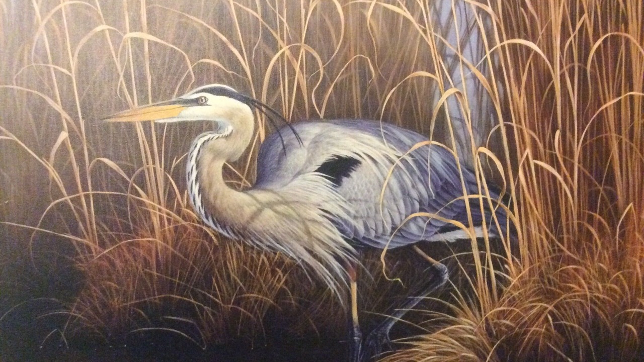 Photo of Others in Steinhatchee