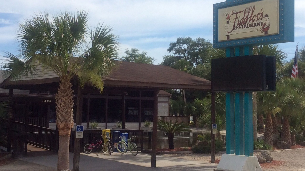 Photo of Others in Steinhatchee