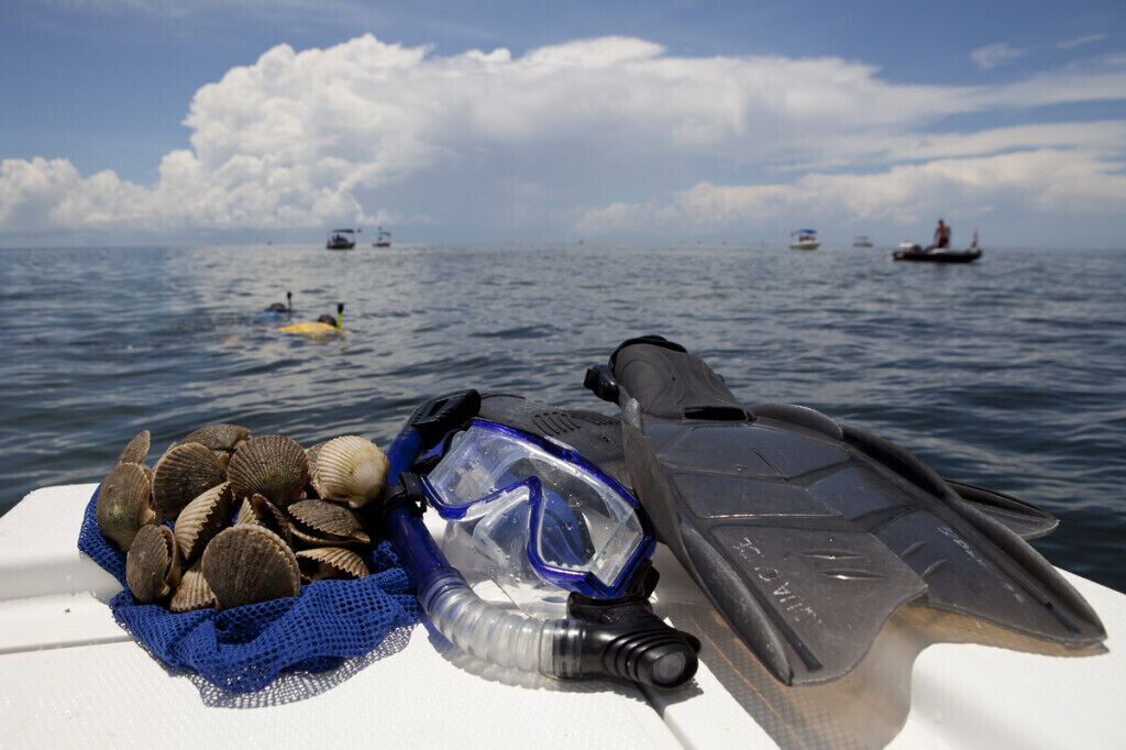 Photo of Others in Steinhatchee