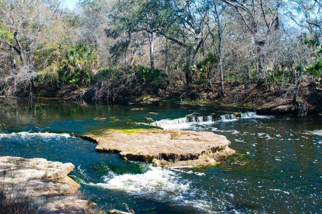 Photo of Others in Steinhatchee