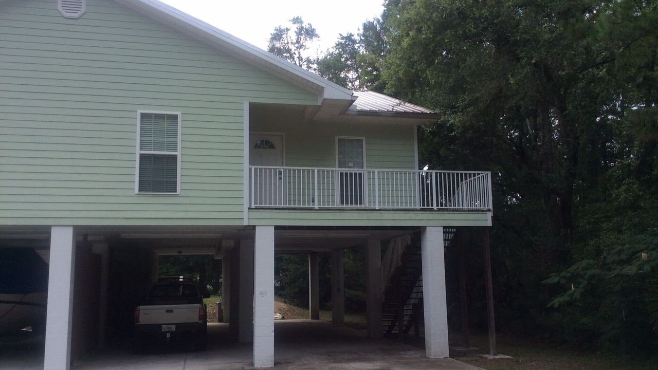 Photo of Others in Steinhatchee