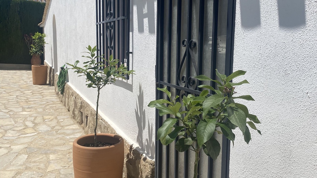 Photo of Outdoor in Pedreguer