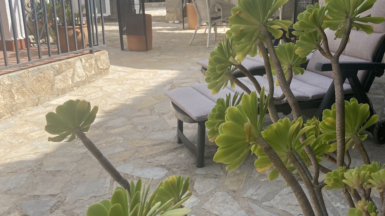 Photo of Patio Balcony in Pedreguer