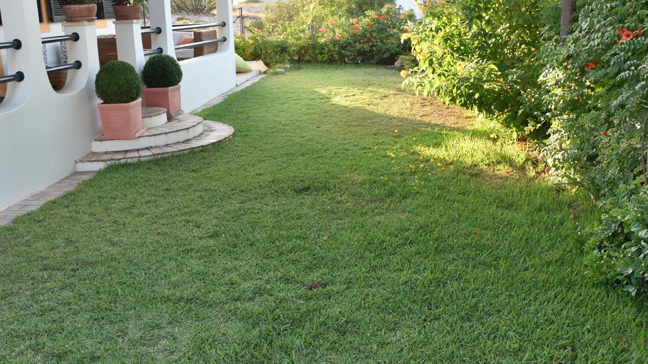 Photo of Outdoor in Praia de Faro