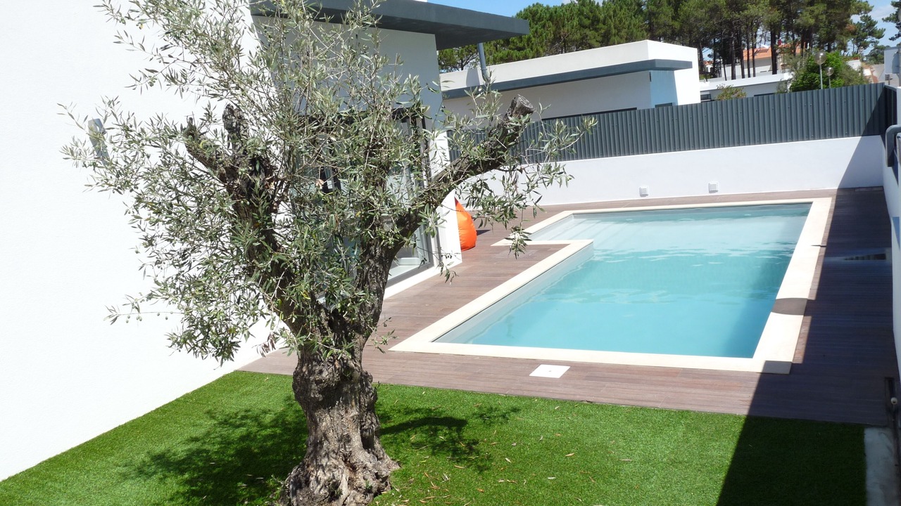 Photo of Outdoor in Carrasqueira