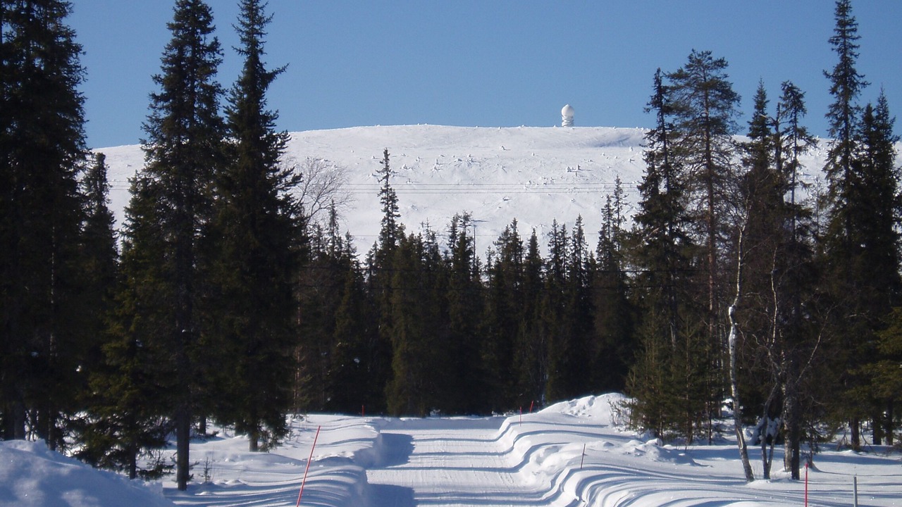 Photo of Others in Lampivaara