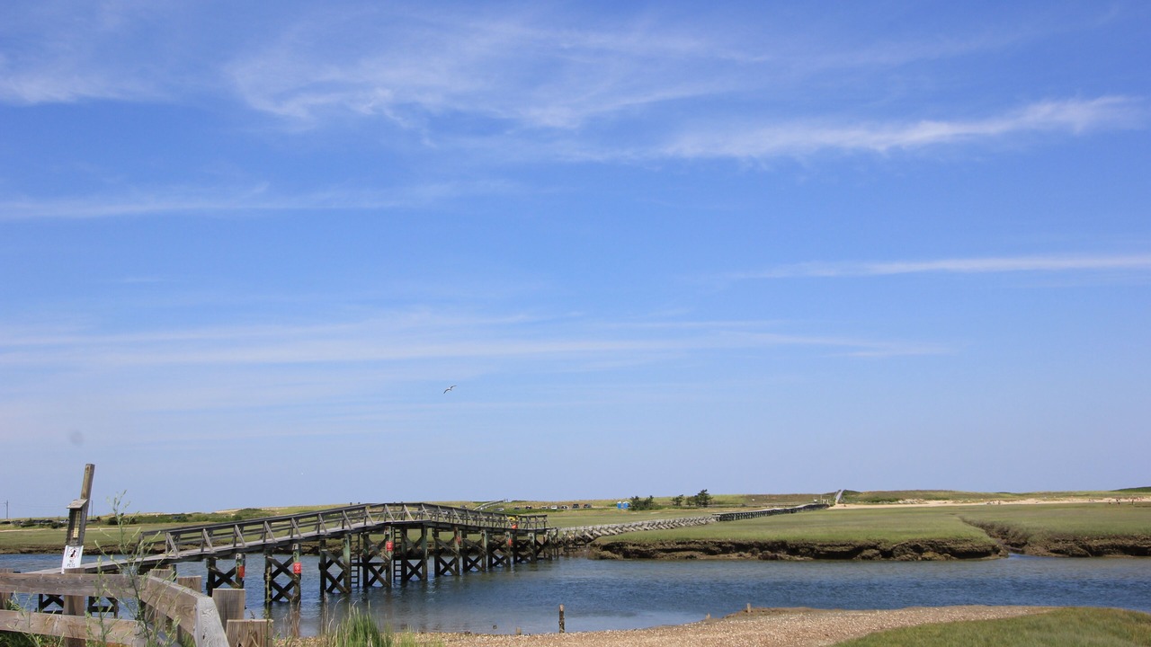 Photo of Others in East Sandwich