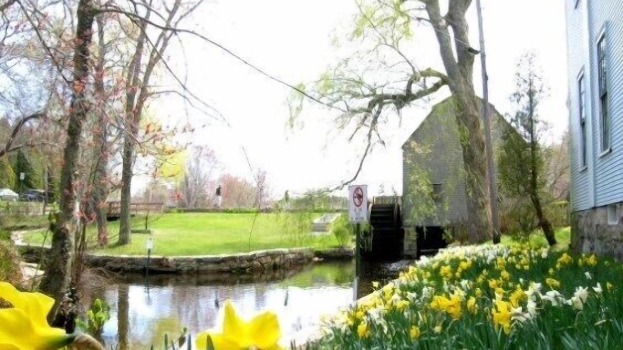 Photo of Outdoor in East Sandwich