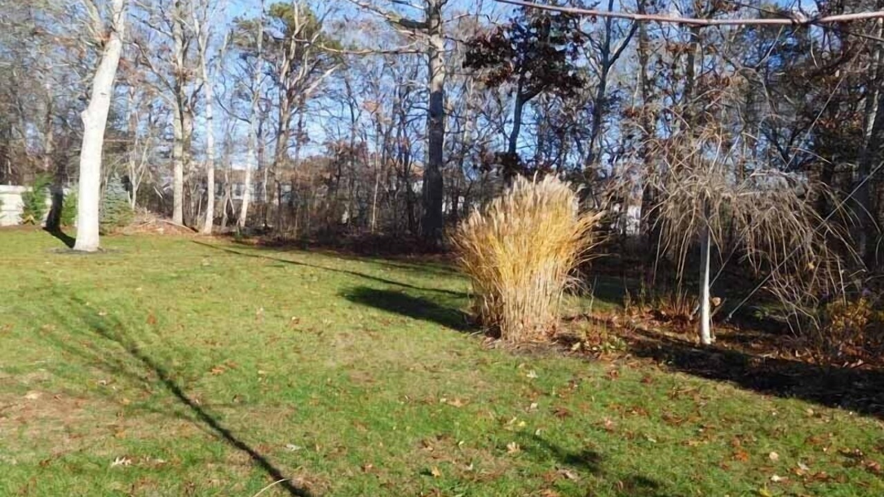 Photo of Outdoor in West Yarmouth