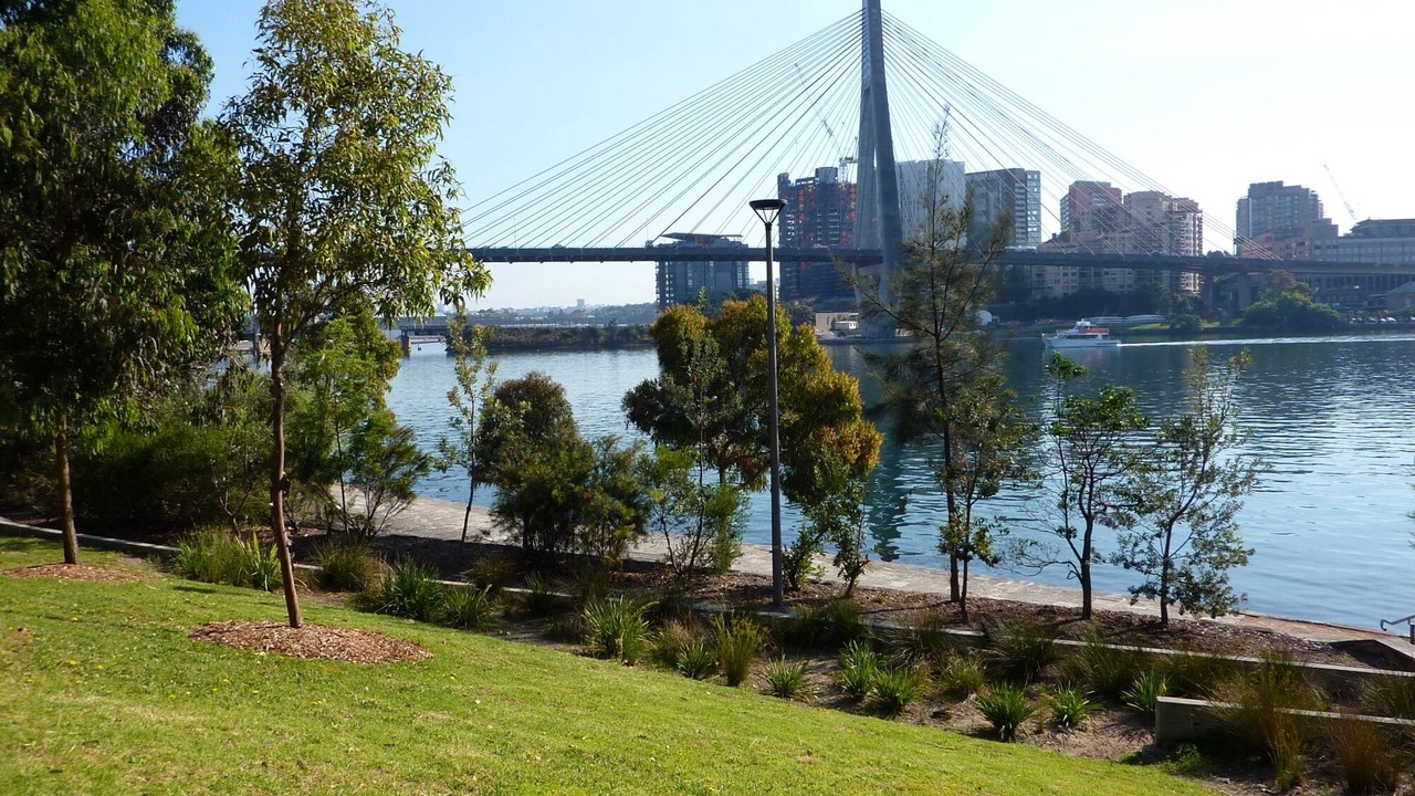 Photo of Others in Glebe