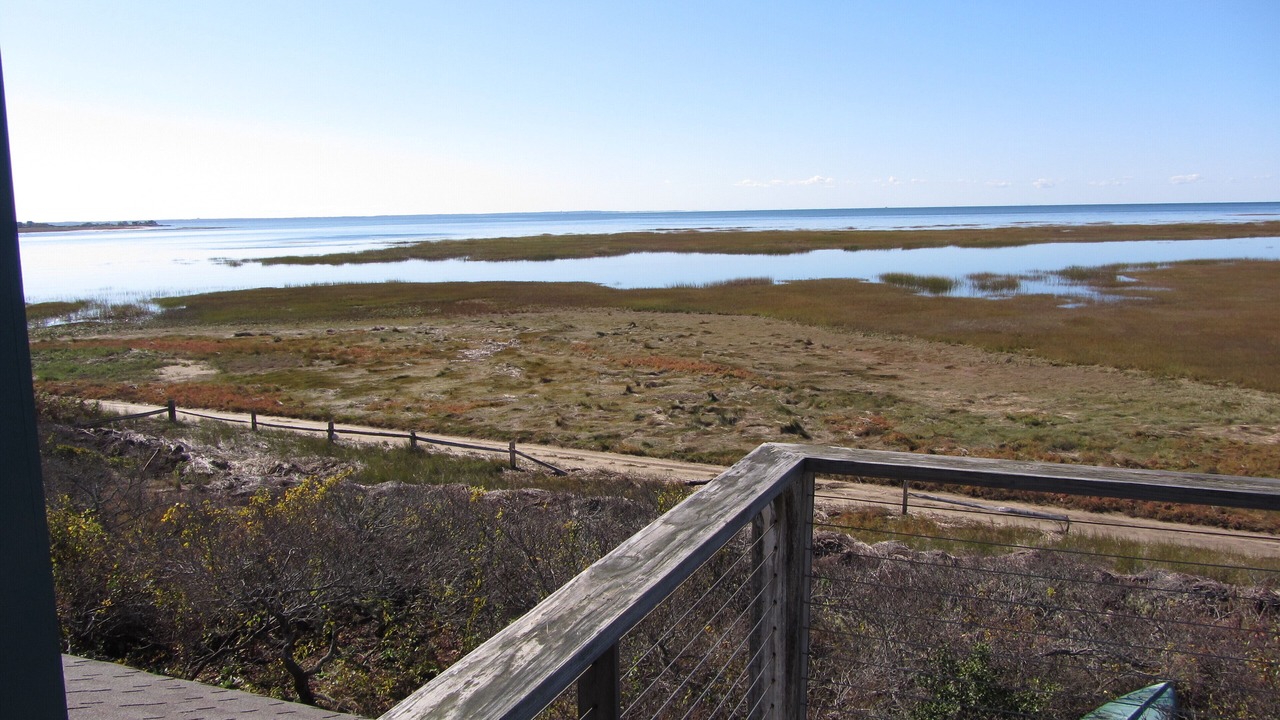 Photo of Outdoor in Wellfleet