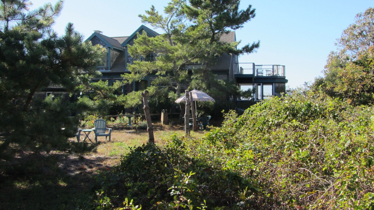 Photo of Outdoor in Wellfleet