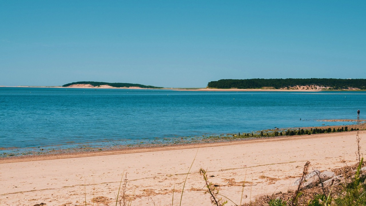 Photo of Others in Wellfleet