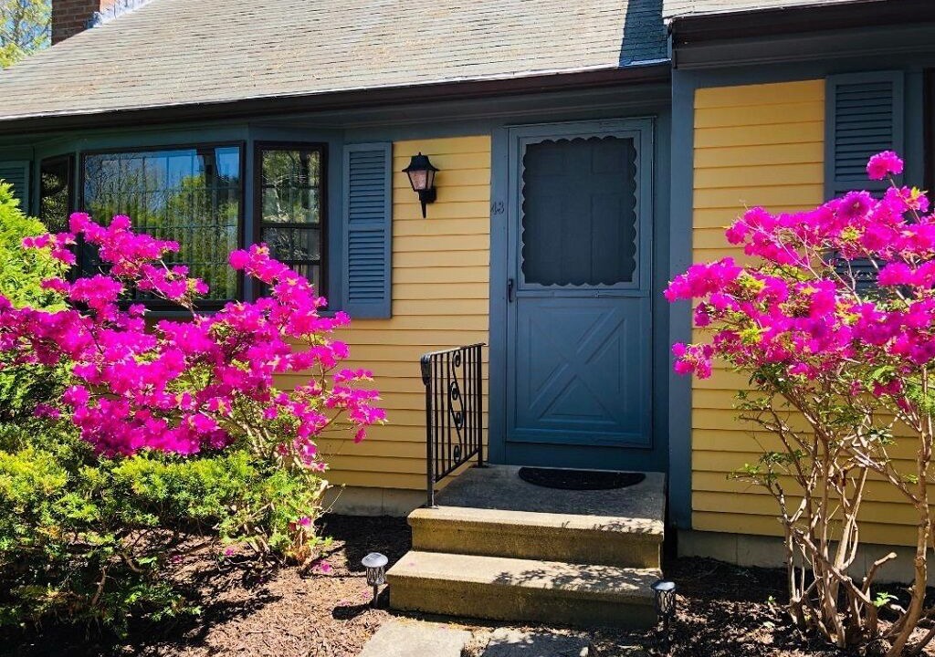 Photo of Outdoor in Brewster