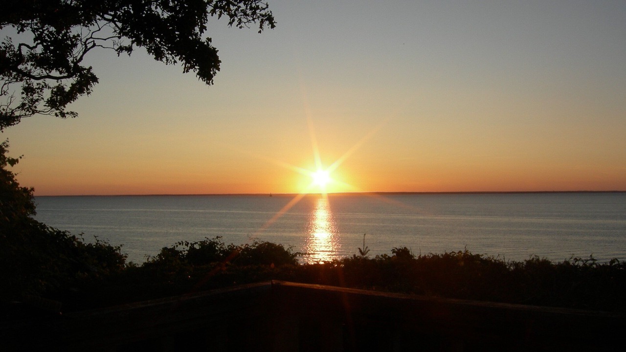 Photo of Others in West Falmouth
