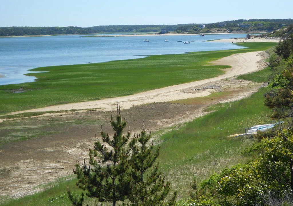Photo of Others in Wellfleet